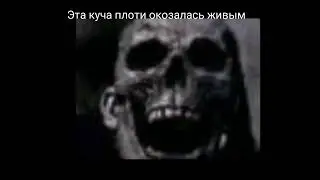 Тебя позвали друзья гулять: