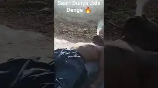 Saari Dunya Jala Denge | Short Video | Danger Team | DT #music #song #animal
