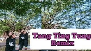 Tang Ting Tung remix @ZZLmeledak
