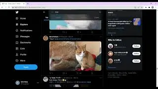 Twitter Bot - scrape Hashtag posts