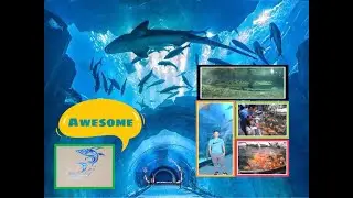 Dubai Aquarium and Underwater Zoo | Sea Creatures | Dubai Mall | Buhay OFW | Giovz Travels