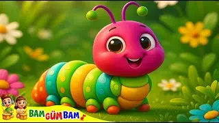 Minik Tırtıl Çocuk Şarkısı | Çocuklar için eğitici ve eğlenceli videolar