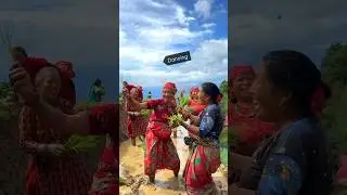 Epic Rice Planting in Nepal 2024🇳🇵#nepal #short #shorts #travel #explore