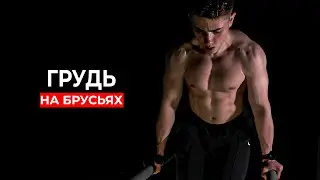 Как накачать грудь на брусьях?