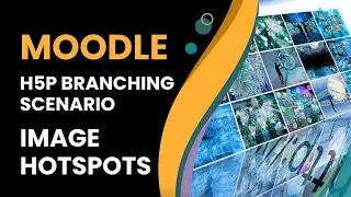 Mastering H5P Branching Scenario Image Hotspots: Create Engaging Visual Experiences