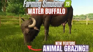 EVERYTHING ABOUT WATER BUFFALO! - Farming Simulator 25