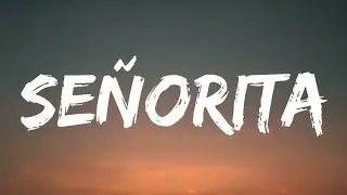 Shawn Mendes, Camila Cabello - Señorita (Lyrics)