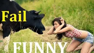 Funny videos 2016