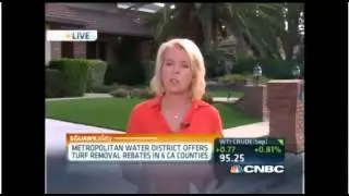 CNBC: Artificial Turf to cope with California Drought