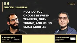 How Do You choose between training, fine-tuning, and using small models?