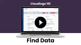 Easily Find Data with Cloudingo