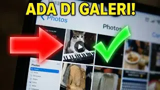 Cara Simpan Video Telegram Ke Galeri | Tanpa Aplikasi Tambahan