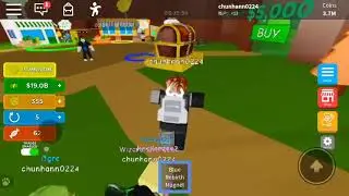 2 codes in magnet simulator