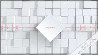Trap 'Em Boy - KVO