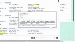 SAP Business One HANA Enterprise Search