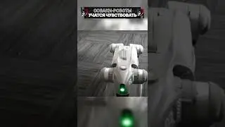 Собаки-роботы учатся чувствовать! #shorts