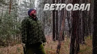 ВАЛЕЖНИК В ЛЕСУ / ВЕТРОВАЛ