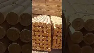 Тайор голалар устунлик
