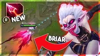NOUL CAMPION BRIAR ESTE *INVINCIBIL*! 100% VA PRIMI NERF