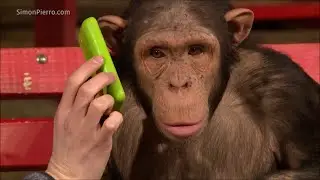 Monkeys react to magic (Reupload)