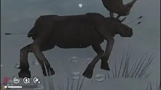 The Long Dark. Добивание лося после двух переломов.