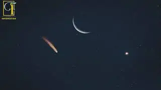 Leonard is the brightest comet in 2021, discovered by astronomer Greg Leonard
