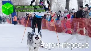 #этоинтересно
