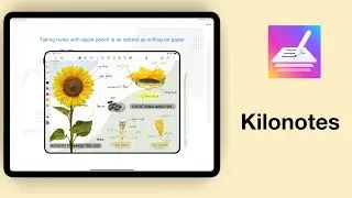 Kilonotes for iPad (2024): Full Review