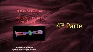 Tejido muscular cuarto video de 9. Hernán Aldana Marcos.