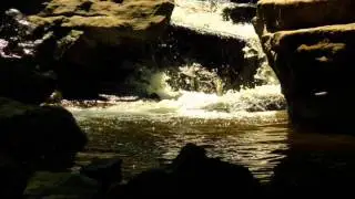 Claude Debussy - Clair de Lune (Piano)