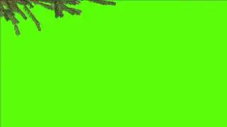 pine tree effect green screen (chroma key)