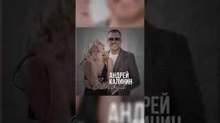 Андрей Калинин - Заноза