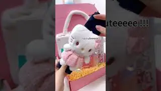 Sanrio Package 😍😍#sanrio