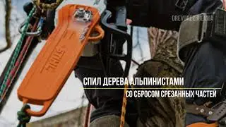 Спил деревьев альпинистами со сбросом