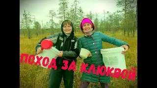 ПОХОД ЗА КЛЮКВОЙ 