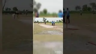 what a bowled sumashing the stump