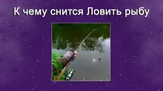 К чему снится Ловить рыбу – толкование сна по Соннику