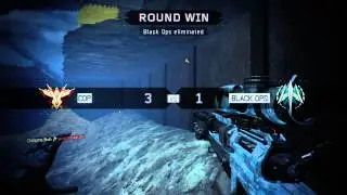 "Aphid SP" xJMx RC Response (3A)