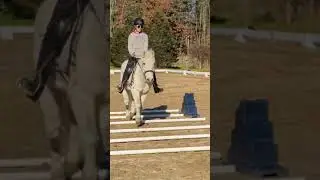 HeHe! Cutest pony over poles. He did it! 