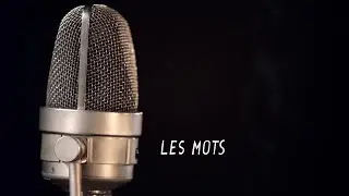 Renaud - Les chansons du nouvel album : Les mots