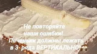 26 января 2020 г.