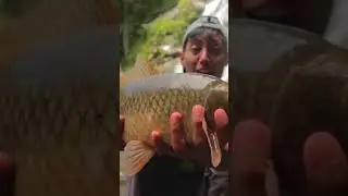 GOKIL!!! REJEKI NOMPLOK DAPAT IKAN MAHAL #mancing #mancingmania #fishing #overland #cooking