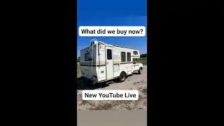 Rare Roaming Retro: Dolphin Camper Walkaround - Explore Vintage Vibes!
