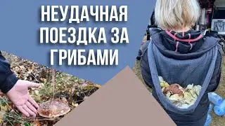 Не удачная поездка за грибами