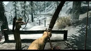 разбираем моды для skyrim: Precision, Directional Combat