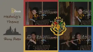 Harry Potter - Hedwig's Theme | Renee Qin Cover