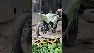 ninja karbu skin balap