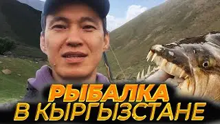 Незабываемая Рыбалка в Кыргызстане!