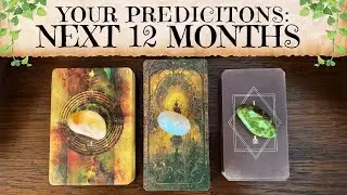 Your Next 12 Months 🌟 Predictions 🔮 Pick A Card 🔮 Tarot Reading