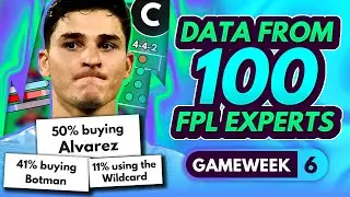 FPL GW6 EXPERT TRANSFER TRENDS & BEST CAPTAINS? - 100 Experts Share Gameweek 6 Plans! | FPL 2023-24